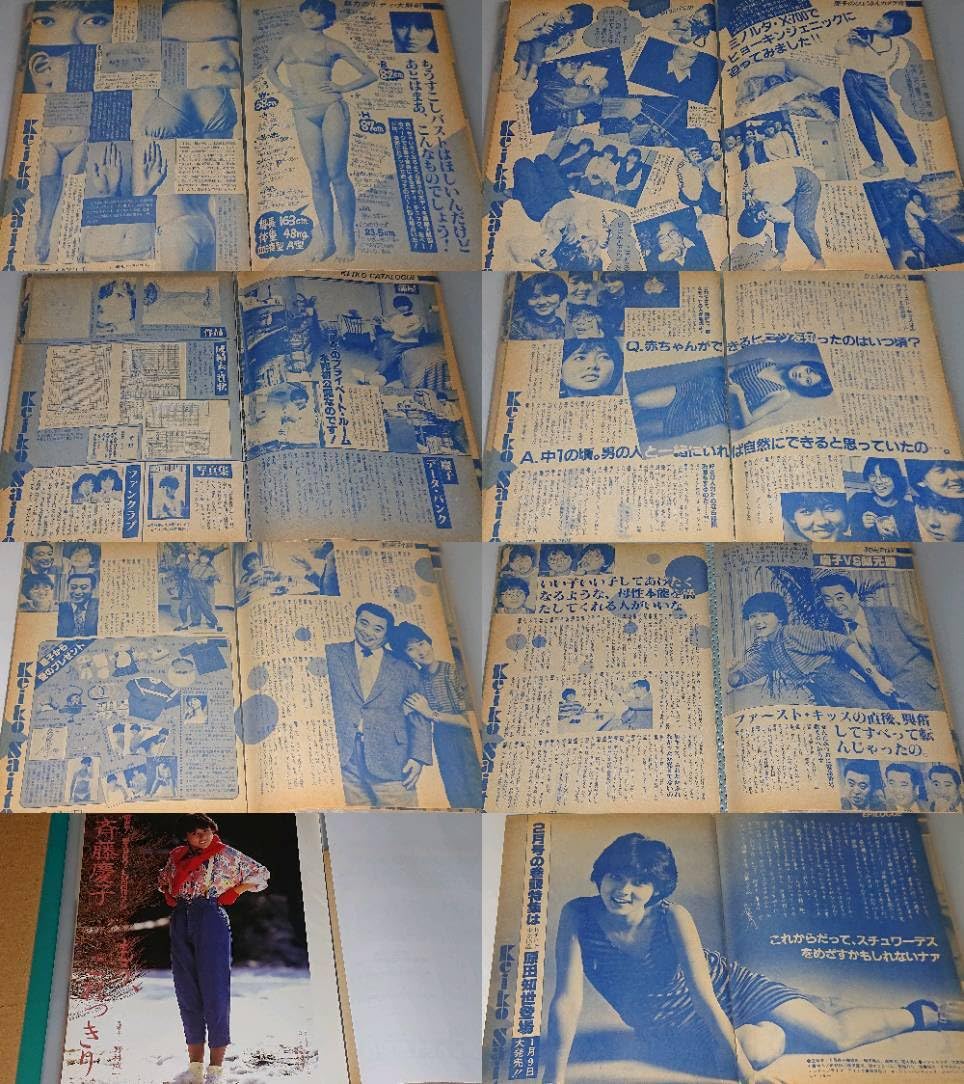  Man 雑誌43冊分の切り抜き　ファイル3冊 Amazon.co.jp: RAYWOOD A4変形ワイド マガジンファイル 雑誌